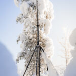 Vertical photo of an extended tactical mast and its tripod, set up in a snowy terrain right in front of a large, snow-covered tree.